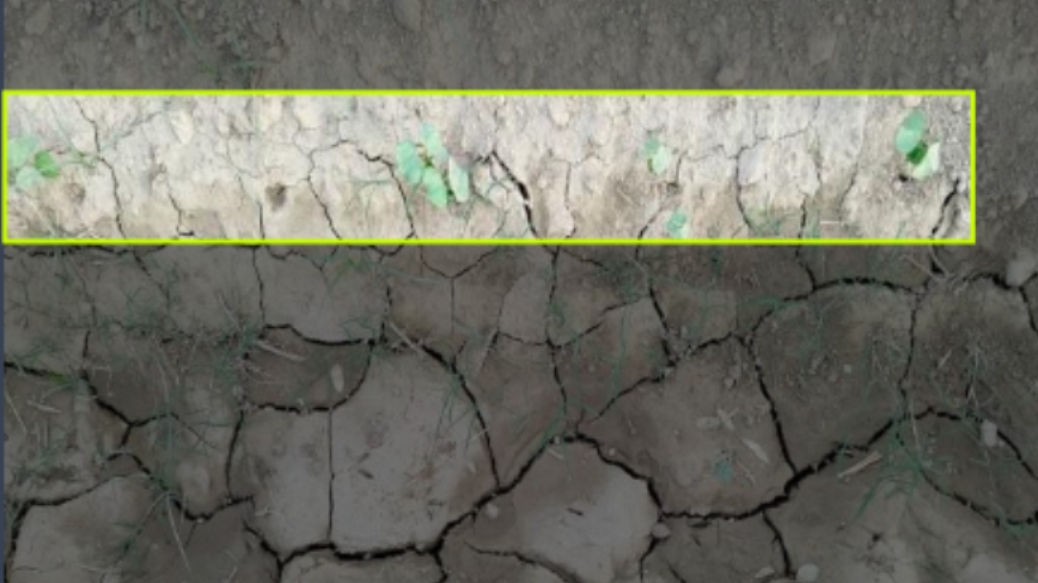 Crop Spacing Analysis